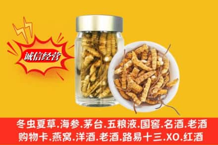 惠阳区回收散虫草