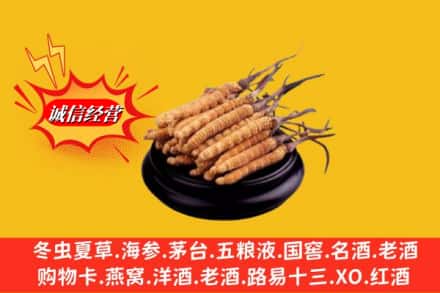 惠阳区求购回收虫草多少钱每克